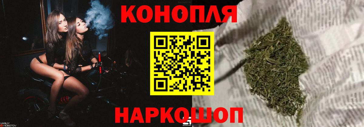 Пугачёв  Шишки марихуана Bruce Banner  Бошки Шишки план  Бошки Шишки THC 21%  Вход с VPN  Каннабис индика 